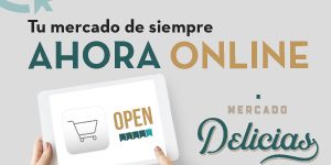 Tienda virtual mercado delicias Zaragoza